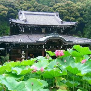 三室戸寺